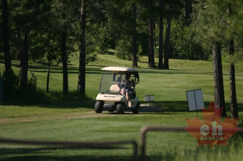 Golfing Kimberley
