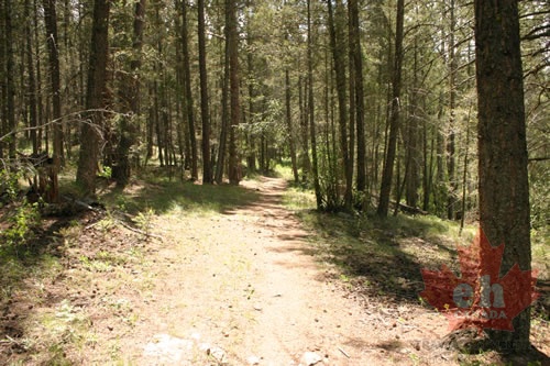 Sylvan Lake Trail