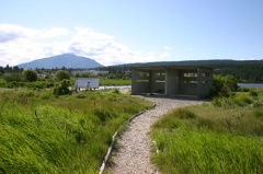Interpretive Viewpoint