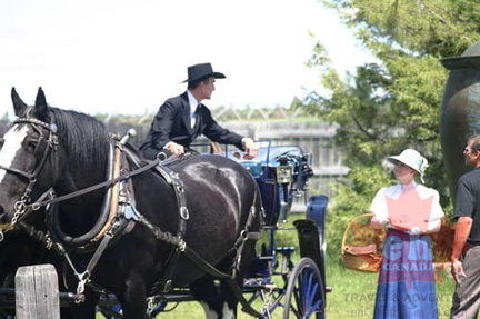 Carriage Rides
