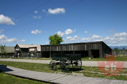 Wagon Wheels