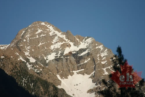Alpine Peaks
