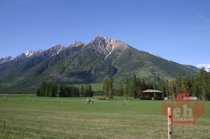 Farm Fields