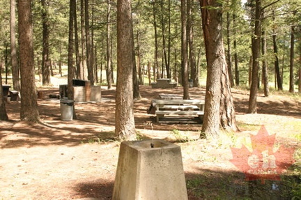 Picnic Site
