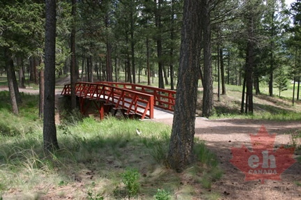Walking Bridge