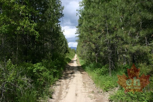 Isador Canyon Trail