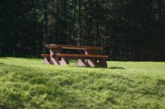 Picnic Table