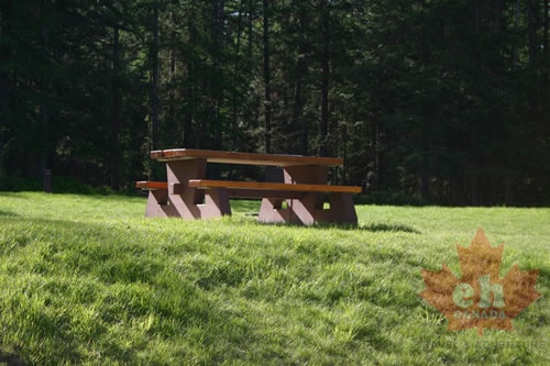 Picnic Table