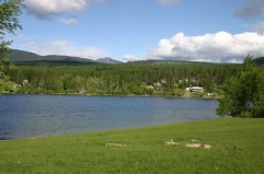 Lake Views