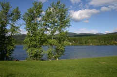 Grassy Lawns