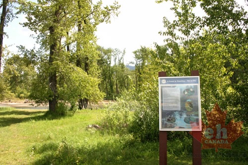 interpretive-sign.jpg