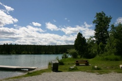 Picnic Table