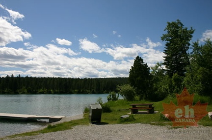Picnic Table