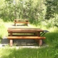 Picnic Tables