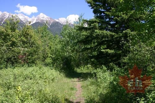 Hiking Trail