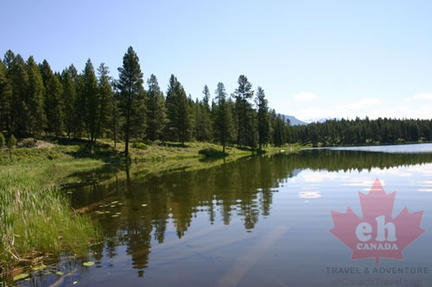 North Star Shoreline