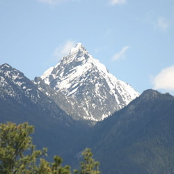 Cranbrook