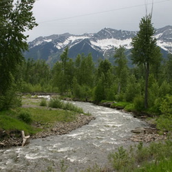 Coal Creek Trail