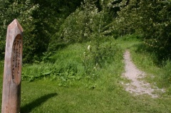 trail 001.jpg