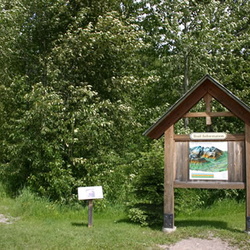 Ferry Creek Trail