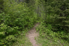 Hiking Trail