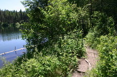 Hiking Trail