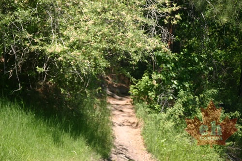Hiking Trail