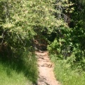 Hiking Trail