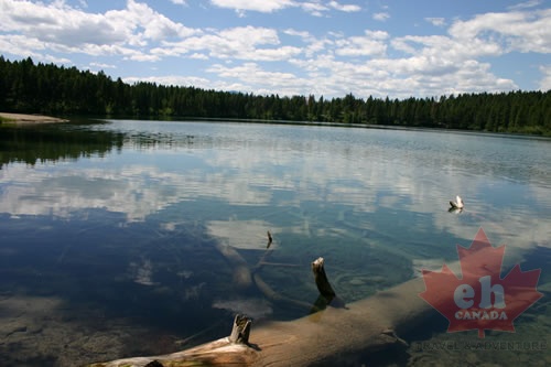 Surveyors Lake