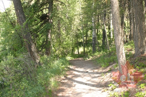 Hiking Trail