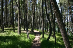Hiking Trail