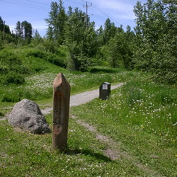 Kootenay Elk