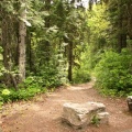 Hiking Trail