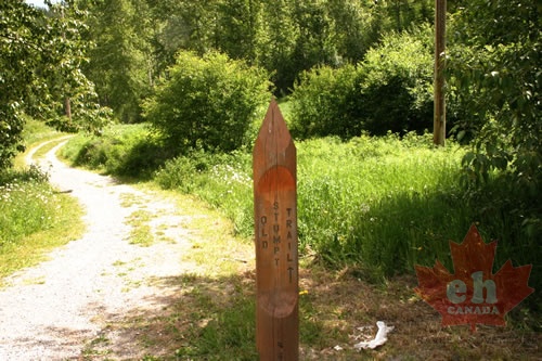 Trail Marker