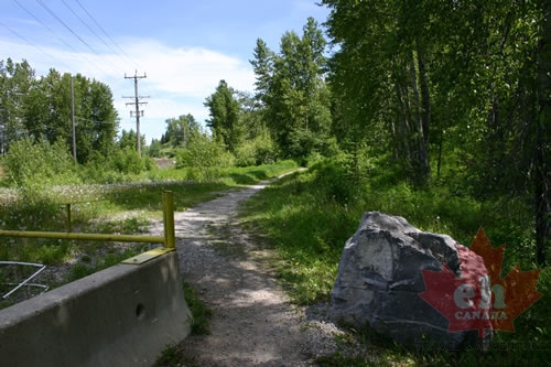 Trailhead Gate