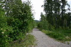 Recreation Trail