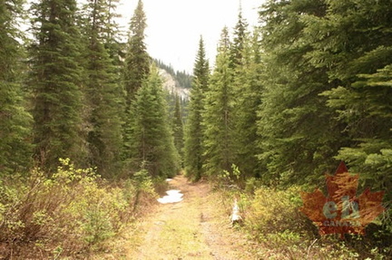 Hiking Trail
