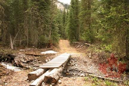 Foot Bridge