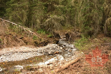 Run Off Creek