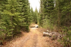 Lower slopes hiking trail Hiking the Three Sisters hiking-trail 005.jpg