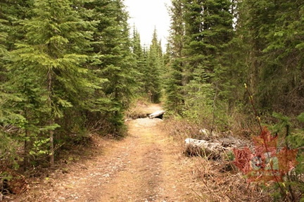Hiking Trail