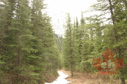 Hiking Trail