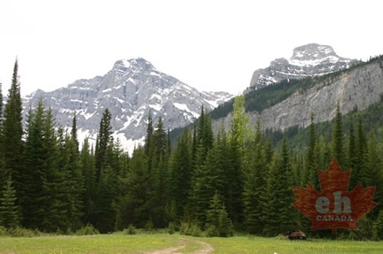 Mountain Views