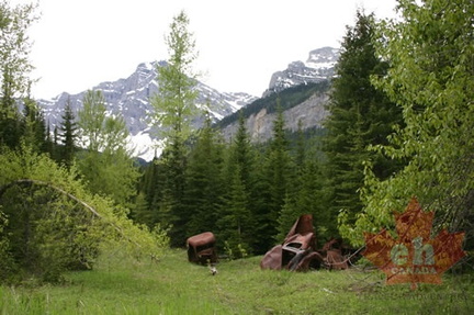 Vehicles Left Behind