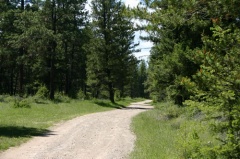 Backcountry Roads