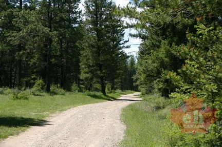 Backcountry Roads