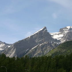 Fernie