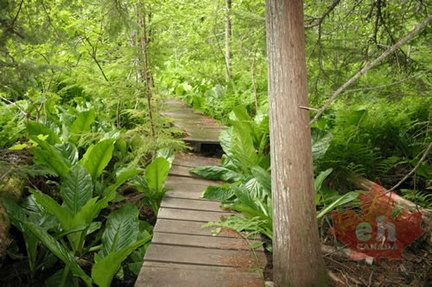 Boardwalk Hiking Trail