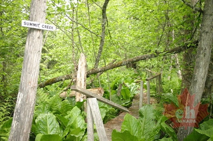 Hiking Trail