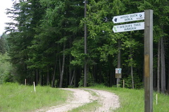Wood Duck Trail Sign